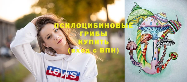 винт Алексеевка