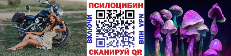 Галлюциногенные грибы Psilocybe  где продают наркотики  мориарти официальный сайт  Томск 