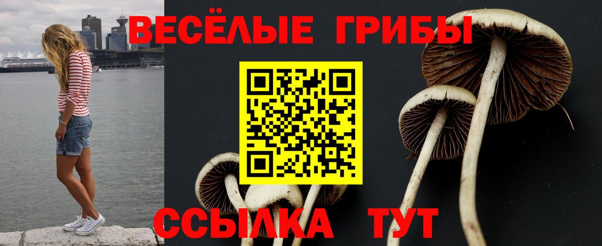 Псилоцибиновые грибы Cubensis  Псилоцибиновые грибы ЛСД  Вход с VPN  Томск 